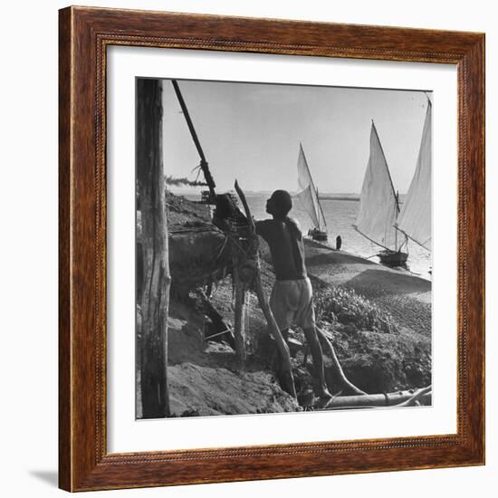 Man Working with Irrigation System as Sailboats Sit at Edge of Nile River at Wadi Halfa-null-Framed Photographic Print