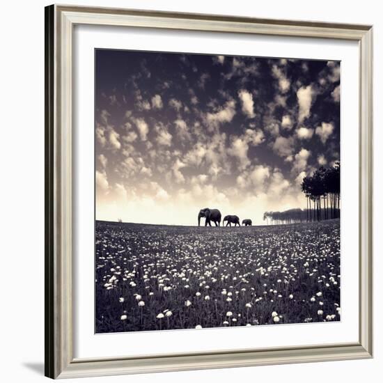 Manada-Luis Beltran-Framed Premium Giclee Print