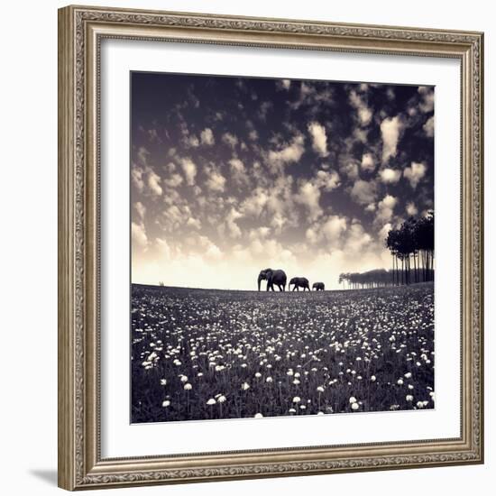 Manada-Luis Beltran-Framed Premium Giclee Print