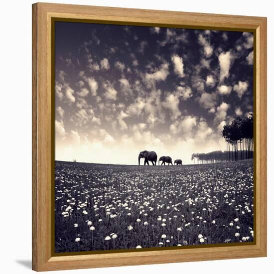 Manada-Luis Beltran-Framed Premier Image Canvas