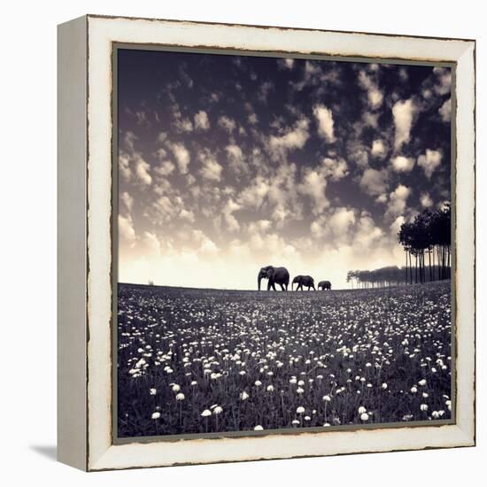 Manada-Luis Beltran-Framed Premier Image Canvas