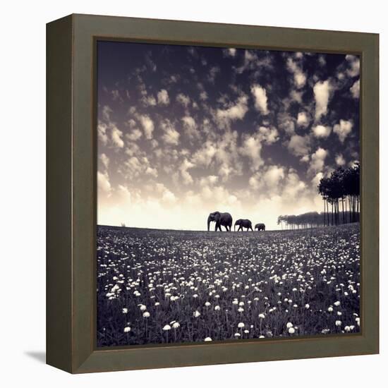 Manada-Luis Beltran-Framed Premier Image Canvas