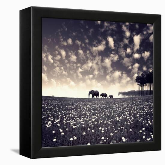 Manada-Luis Beltran-Framed Premier Image Canvas