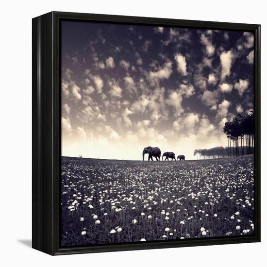 Manada-Luis Beltran-Framed Premier Image Canvas