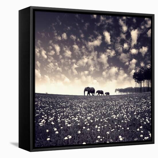 Manada-Luis Beltran-Framed Premier Image Canvas