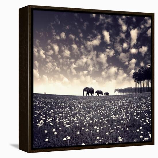 Manada-Luis Beltran-Framed Premier Image Canvas