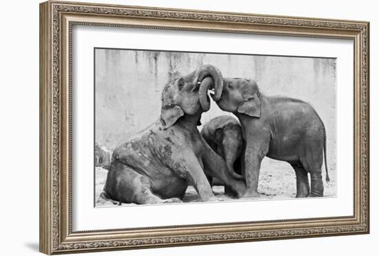 Manage A' Trois-Antje Wenner-Braun-Framed Giclee Print