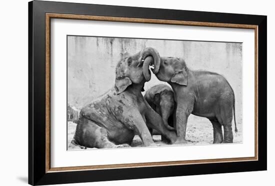 Manage A' Trois-Antje Wenner-Braun-Framed Giclee Print