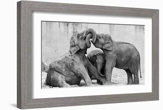 Manage A' Trois-Antje Wenner-Braun-Framed Giclee Print