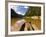 Manambolo Canyon, Tsingys De Bemaraha National Park, East Madagascar-Inaki Relanzon-Framed Photographic Print