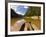 Manambolo Canyon, Tsingys De Bemaraha National Park, East Madagascar-Inaki Relanzon-Framed Photographic Print