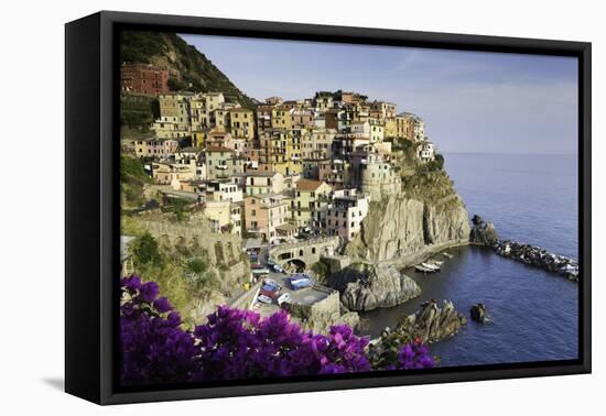 Manarola, Cinque Terre, UNESCO World Heritage Site, Liguria, Italy, Europe-Gavin Hellier-Framed Premier Image Canvas