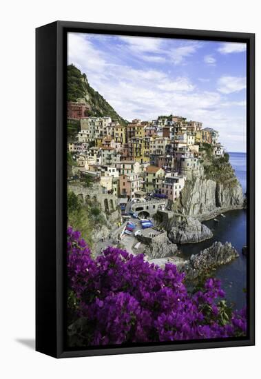 Manarola, Cinque Terre, UNESCO World Heritage Site, Liguria, Italy, Europe-Gavin Hellier-Framed Premier Image Canvas