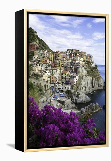 Manarola, Cinque Terre, UNESCO World Heritage Site, Liguria, Italy, Europe-Gavin Hellier-Framed Premier Image Canvas