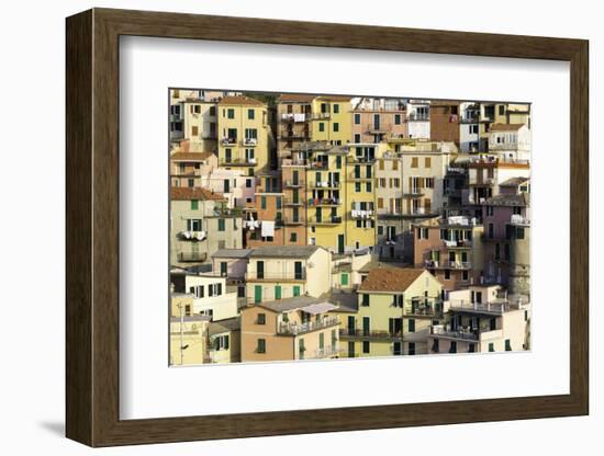 Manarola, Cinque Terre, UNESCO World Heritage Site, Liguria, Italy, Europe-Gavin Hellier-Framed Photographic Print