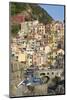 Manarola, Cinque Terre, UNESCO World Heritage Site, Liguria, Italy, Europe-Gavin Hellier-Mounted Photographic Print