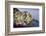 Manarola, Cinque Terre, UNESCO World Heritage Site, Liguria, Italy, Europe-Gavin Hellier-Framed Photographic Print