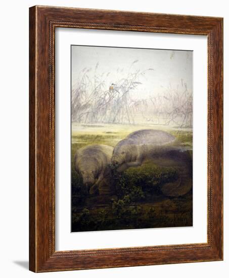 Manatee, 1879-Joseph Wolf-Framed Giclee Print