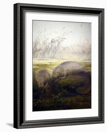 Manatee, 1879-Joseph Wolf-Framed Giclee Print