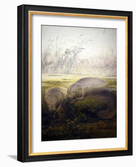 Manatee, 1879-Joseph Wolf-Framed Giclee Print