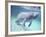 Manatee, Crystal River NW Refuge, FL-Frank Staub-Framed Photographic Print