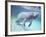 Manatee, Crystal River NW Refuge, FL-Frank Staub-Framed Photographic Print