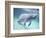 Manatee, Crystal River NW Refuge, FL-Frank Staub-Framed Photographic Print