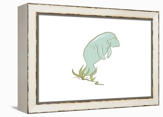 Manatee - Icon-Lantern Press-Framed Stretched Canvas