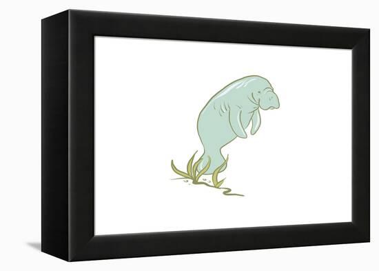 Manatee - Icon-Lantern Press-Framed Stretched Canvas