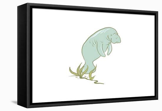 Manatee - Icon-Lantern Press-Framed Stretched Canvas