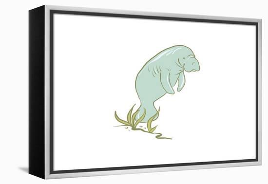 Manatee - Icon-Lantern Press-Framed Stretched Canvas