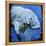 Manatee-null-Framed Stretched Canvas