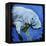 Manatee-null-Framed Stretched Canvas