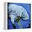 Manatee-null-Framed Stretched Canvas