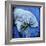 Manatee-null-Framed Art Print