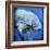 Manatee-null-Framed Art Print