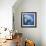Manatee-null-Framed Art Print displayed on a wall
