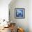 Manatee-null-Framed Art Print displayed on a wall