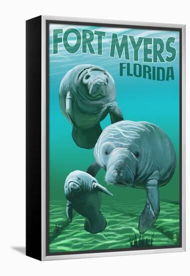 Manatees - Fort Myers, Florida-Lantern Press-Framed Stretched Canvas