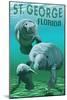 Manatees - St. George, Florida-Lantern Press-Mounted Art Print