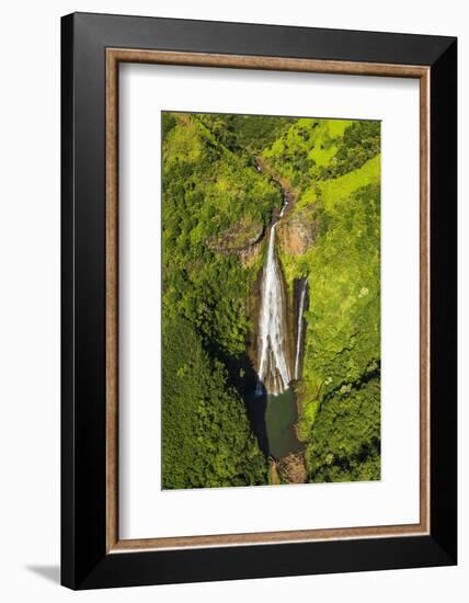 Manawaiopuna Falls (aerial) also known as Jurassic Park Falls, Hanapepe Valley, Kauai, Hawaii, USA.-Russ Bishop-Framed Photographic Print