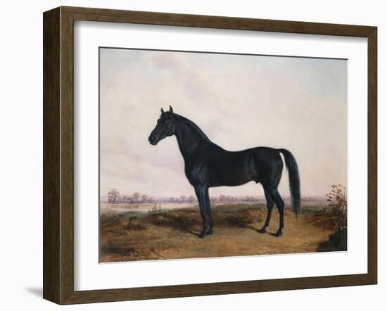 Manbrino Patchen 58, in an Extensive Landscape, 1867-Henry Thomas Alken-Framed Giclee Print