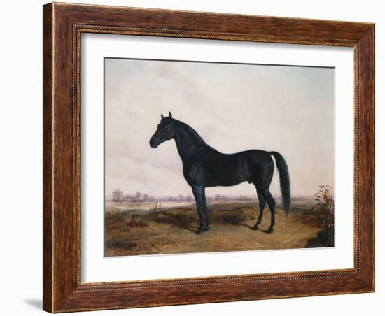 Manbrino Patchen 58, in an Extensive Landscape, 1867-Henry Thomas Alken-Framed Giclee Print