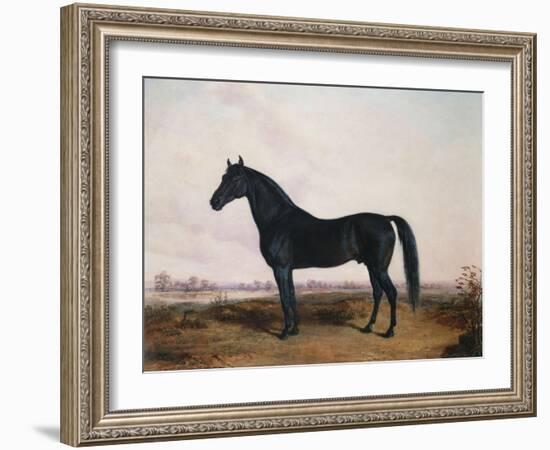 Manbrino Patchen 58, in an Extensive Landscape, 1867-Henry Thomas Alken-Framed Giclee Print