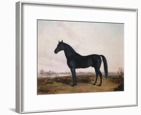 Manbrino Patchen 58, in an Extensive Landscape, 1867-Henry Thomas Alken-Framed Giclee Print