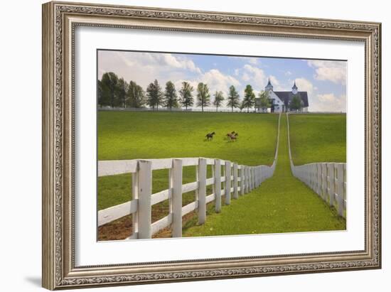 Manchester Farm, Kentucky 08-Monte Nagler-Framed Photographic Print