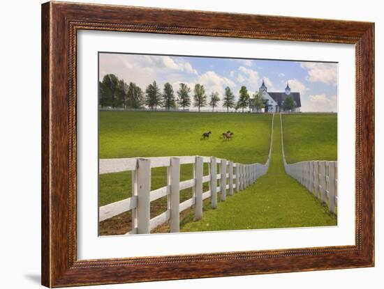 Manchester Farm, Kentucky 08-Monte Nagler-Framed Photographic Print