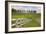 Manchester Farm, Kentucky 08-Monte Nagler-Framed Photographic Print