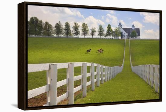 Manchester Farm, Kentucky 08-Monte Nagler-Framed Premier Image Canvas