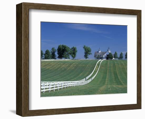 Manchester Horse Farm, Lexington, Kentucky, USA-Adam Jones-Framed Photographic Print